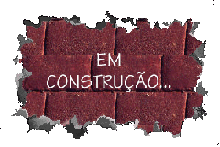 construir.gif (19723 bytes)